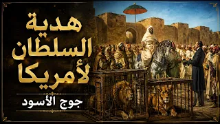 هدية السلطان لأمريكا   قصة الأسود المغربية التي حي رت الدبلوماسية الأمريكية دندنها