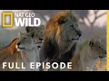 Download Lagu Win or Die (Full Episode) | Savage Kingdom