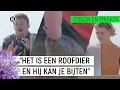 Download Lagu MEGA PALING GRIJPT VINGER!! | Steken en Prikken S2 #6 | NPO Zapp