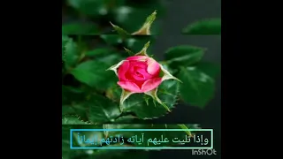 اللهم زدنا إيمانا 