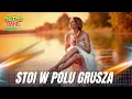 Lagu STOI W POLU GRUSZA - RETRO BAND 🎷❤️ Disco Polo Folk 2026 ❤️