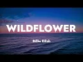 Billie Eilish - WILDFLOWER (Lyrics)