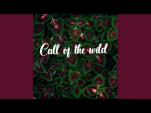 Download MP3 Call Of The Wild