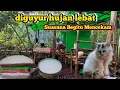 Lagu ⛈️ di timpa hujan di pondok atas sungai 🌿 membuat kue tradisional,dan menikmati nya  suasana tenang