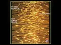Dexter Gordon With Junior Mance - The Panther