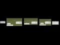 Rotate Columns in Revit about local Z-Axis using Dynamo