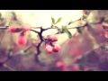 Download Lagu DJ Okawari - Bluebird Story (1Hour-Homework edit)