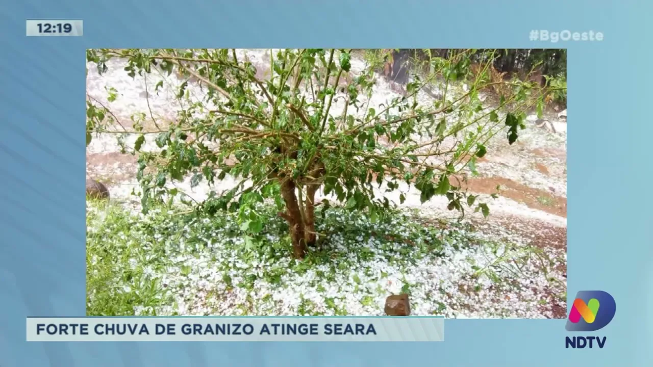 Forte chuva de granizo atinge Seara
