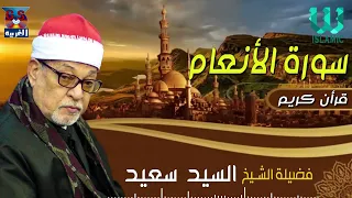 الشيخ السيد سعيد سورة الانعام AlShaikh ElSayed Sa3ed Al An Am 