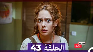 مطلوب حب عاجل الحلقة 43 Arabic Dubbed 