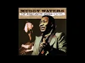 33 Years - Muddy Waters - (HQ) - The Johnny Winter Sessions 1976-1981