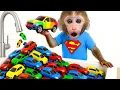 Download Lagu Monyet Bon Bon Imut senang dengan hujan permen pelangi dan memanen semangka bersama teman bebek