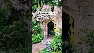 Себе не берегла 