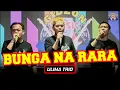 Download Lagu BUNGA NA RARA - COVER LIVE ULIMA TRIO - GMP LIVE