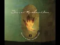 Blackbird