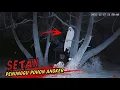 Lagu Penampakan menyeramkan hantu penunggu pohon angker‼️ kamera saya diamankan penjaga‼️