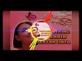 Download Lagu Nada Dering Hp Andin Dalam Sinetron Ikatan Cinta