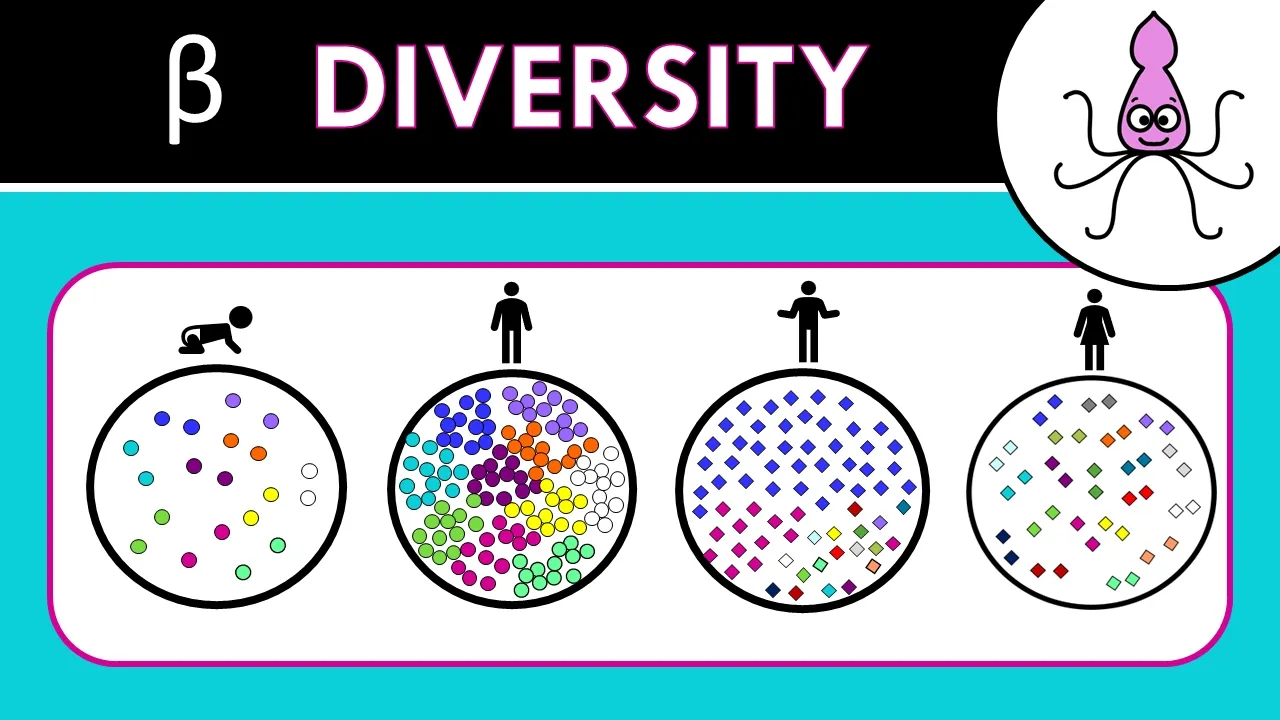 Beta diversity: Jaccard, Bray-Curtis, NMDS, PCoA and PERMANOVA