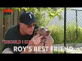 Download Lagu Bring Your Dog To The Auction Day?! | Full Episode