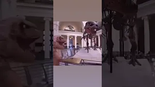 شاهد قبل الحدف ديناصور يبكي على جد ه مؤثر جدا 