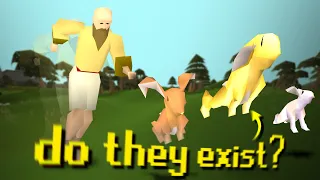 The hunt for Runescape s most elusive animal