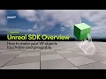 WEART s Unreal SDK Overview Leverage the power of comprehensive haptic feedback in VR