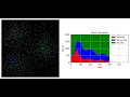 COVID-19 Experiment Three Populations Agent-Based Simulation in Python 600 steps