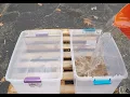 Grow Tip - Buffering Coco Coir