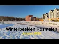 Lagu Winterbeelden Rosmalen - Januari 2026