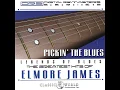 Hurts Me Too - Elmore James