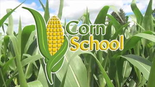 Corn School Planting Depth