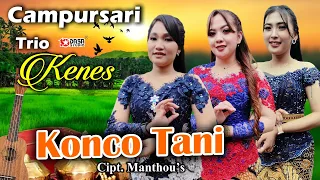 Download KONCO TANI TRIO KENES #Dasastudio MP3