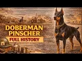 Doberman Pinscher - Full History