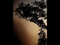 Download Lagu Whispers of the sky as the sun bows out. Nature’s calm in every shade.#GoldenShutter2_0 #SunsetVibes