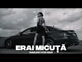 NANULAUR - Erai Micuță (VITEK REMIX) | Deep House Music 