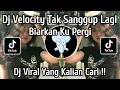 DJ BIARKAN KU PERGI KARENA AKU TAK SANGGUP LAGI || DJ VELOCITY VIRAL TIKTOK TERBARU 2025
