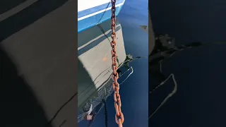 Day 42 of living on a sailboat. Dirty Chain for days #sailboatlife #travelvlog #dayinthelife