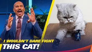 I React To The Funniest Fails On The Internet! | Steve Harvey