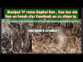 Download Lagu Bualpui 'H' rama Saphai lian , Gas bur aia lian an hmuh chu vawiinah an zu chian ta.
