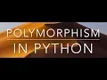 14 Duck typing Polymorphism Python Beginners