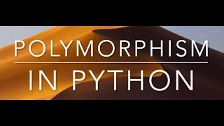 14 Duck typing Polymorphism Python Beginners