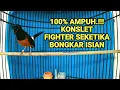 Download Lagu 100% AMPUH PANCINGAN MURAI BATU KONSLET BONGKAR ISIAN BIKIN MURAI DIAM JADI NGAMUK GACOR