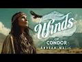 Winds of Condor | Andean Music with Pan Flute and Charango for Relaxation | World Music