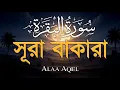 Lagu ঘরের উন্নতির জন্য সূরা বাকারা প্রতিদিন শুনুন I Surah Al Baqarah Full Quran Recitation | Alaa Aqel