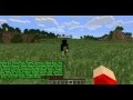 Bukkit Tutorial - LibsDisguises Plugin