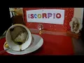CAFE ESCORPIO MEJORAS EN TU ECONOMIA-LIBERAS BATALLAS AJENAS-EX TE BUSCA-NUEVA RELACION MATRIMONIO