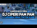 Download Lagu KUMPULAN DJ JEDAG JEDUG VIRAL TIKTOK || DJ CIPERI PAM PAM X CARAMBA FULL BASS MENGKANE