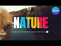 How To Create Colorful Text Reveal Effect - Canva Tutorial