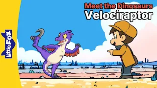 Why Was Velociraptor Called a Fast Robber? | Meet the Dinosaurs | Little Fox