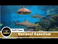 The National Aquarium Baltimore Full Tour and Review